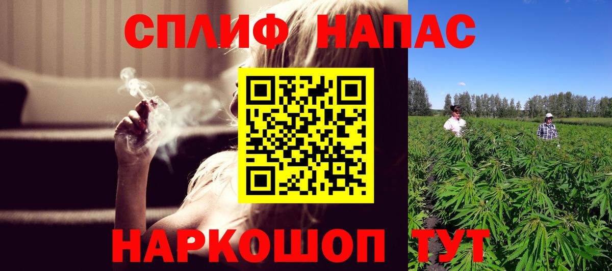 Бошки Шишки гибрид Братск